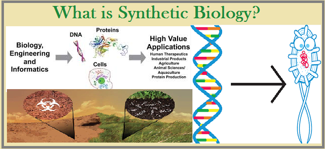 phd in synthetic biology